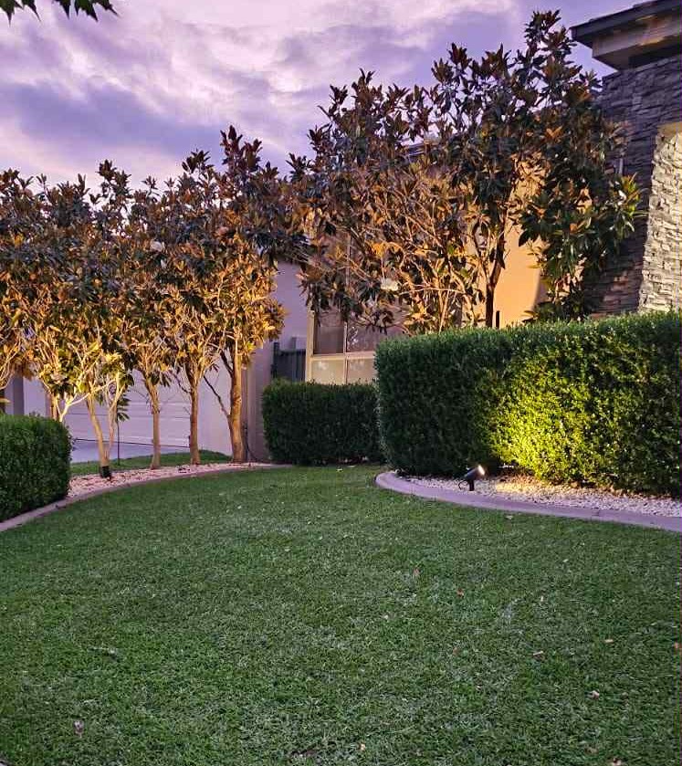 Tree and hedge spotlighting at a Home in Tamworth - electrical outdoor lighting design