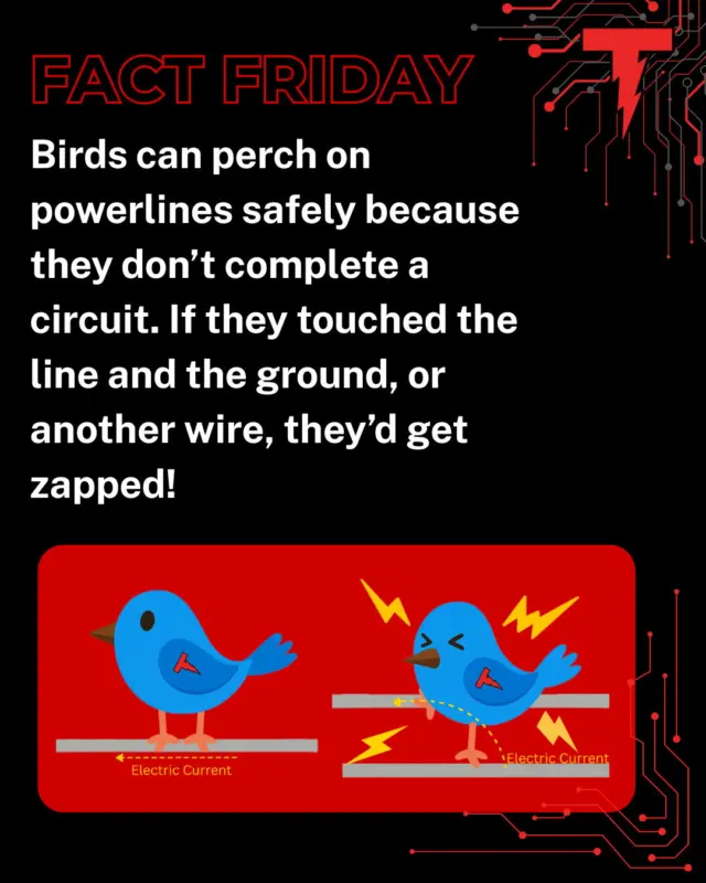 🤔💡😃
www.tamworthelectrician.com
#tamworthelectrician